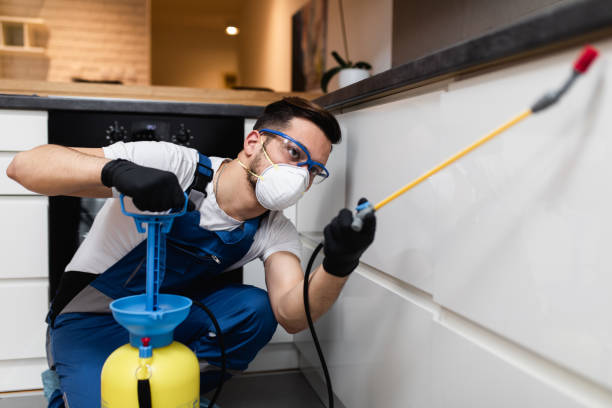 Best Pest Removal Services  in Whitfield, PA