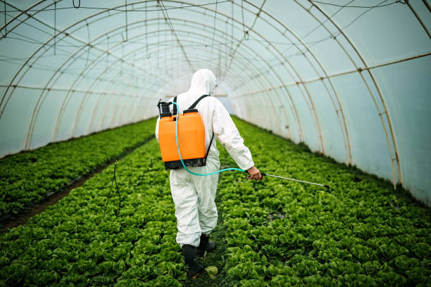 Best Affordable Pest Control Services  in Whitfield, PA