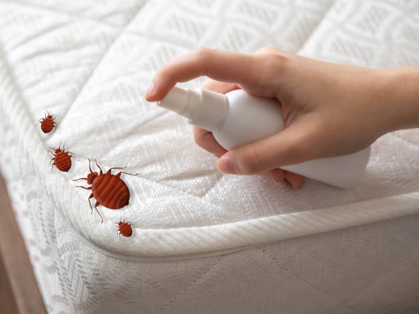 Best Exterminator Services  in Whitfield, PA