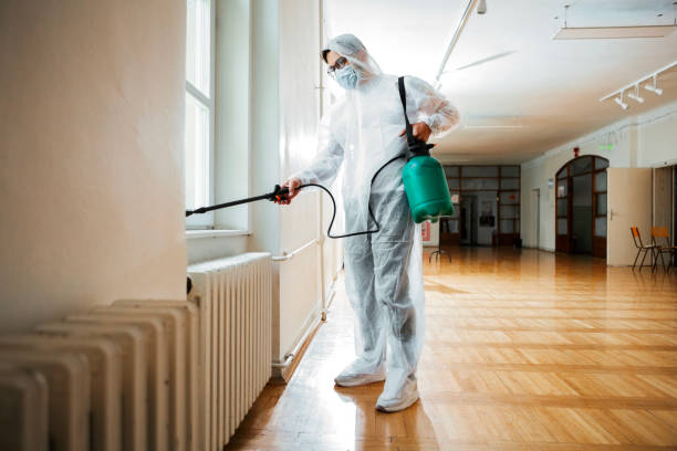 Best Wasp Removal Services  in Whitfield, PA